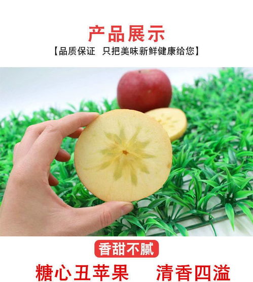 大涼山鹽源丑蘋(píng)果 自然孕育的冰糖心，脆甜多汁的應(yīng)季佳品
