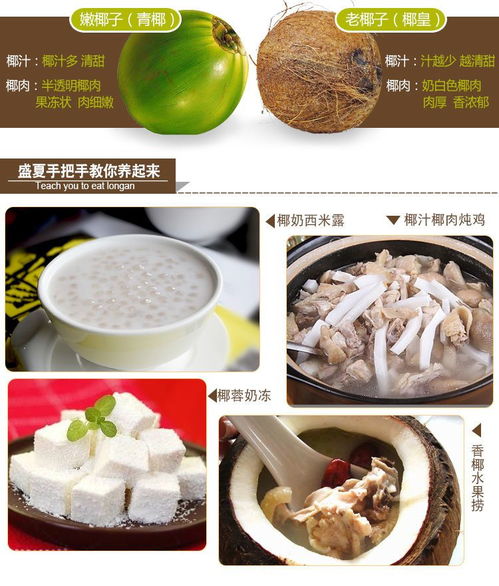 海南老椰子批發(fā) 品質(zhì)之選，新鮮直達(dá)